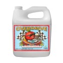 Overdrive Advanced Nutrients - 4L