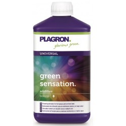 Green Sensation Plagron - 500ml