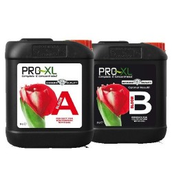 Bloom A+B Pro-XL - 5L