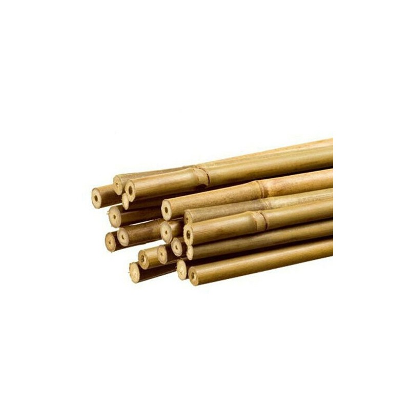 Tutor Bambú 1,5m - 1 Ud.