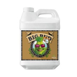 Big Bud Coco Liquid Advanced Nutrients - 250ml