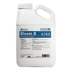Bloom B Athena - 3,78L