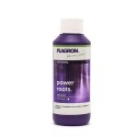 Power Roots Plagron - 100ml