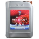 Boost Hesi - 10L