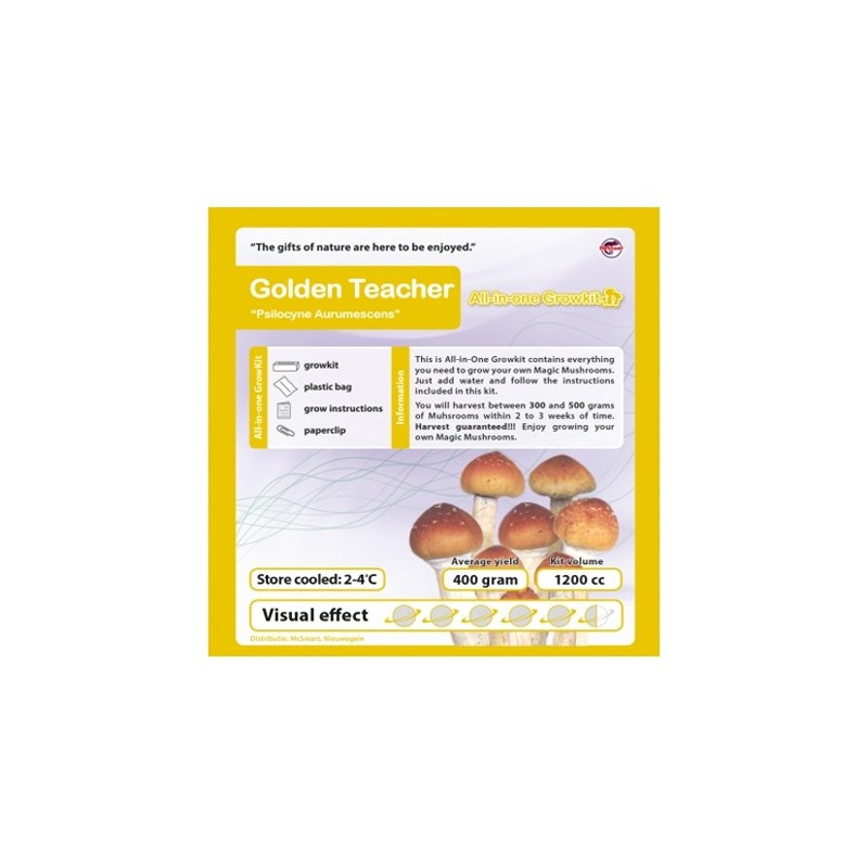 GrowKit Golden Teacher - 2100cc