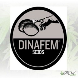 Dinafem Mix - 3 Seeds