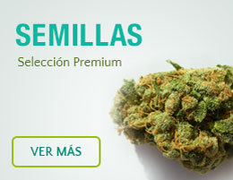 Semillas Premium